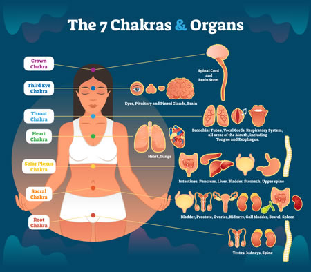 Chakras a través de las clases de yoga Sevilla